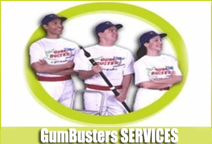 Picture for category GumBusters Services